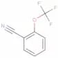 2-(Trifluoromethoxy)benzonitrile