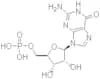 Guanosine monophosphate