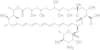 Amphotericin B