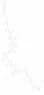 calcitonin M