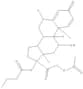 Epitopic