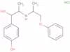 Isoxsuprine hydrochloride