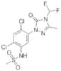 SULFENTRAZONE