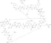 omega-conotoxin gvia