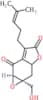 Paniculidine C