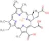 Sodium copper chlorophyllin