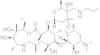 Tulathromycin