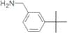 1-(3-tert-butylphenyl)methanamine