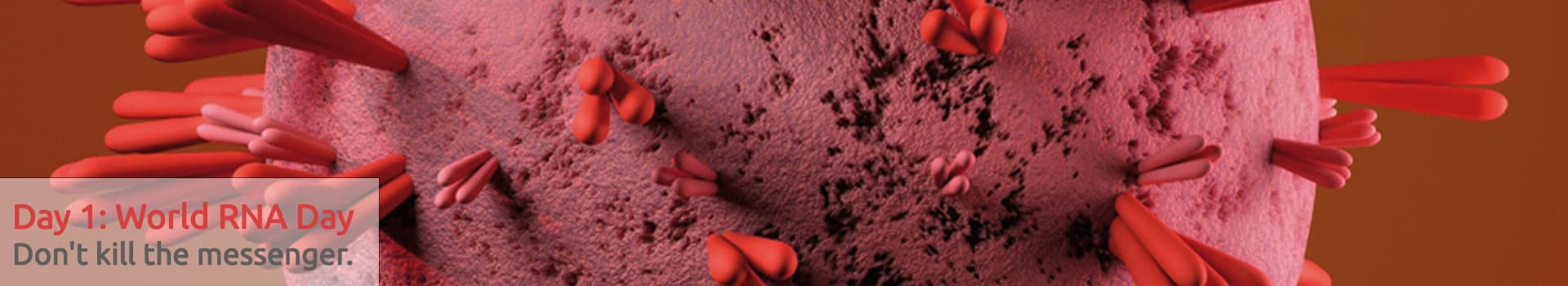 World RNA Day