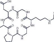 Cyclo(-Gly-Arg-Gly-Asp-Ser-Pro)