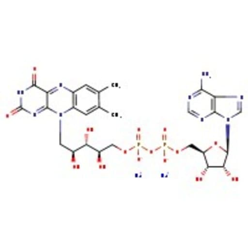 Flavin adenine dinucleotide disodium salt hydrate, 94% (dry wt.), water <10%