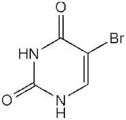 5-Bromouracil, 98+%