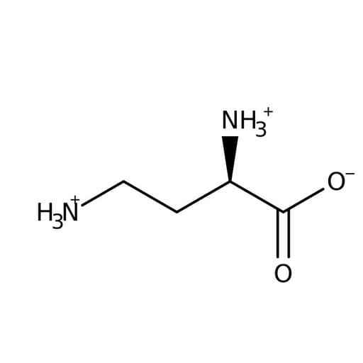 DL-2,4-Diaminobutyric acid dihydrochloride, 99%