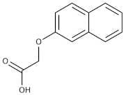2-Naphthoxyacetic acid, 97%