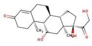 Hydrocortisone, 98%