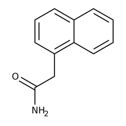 1-Naphthylacetamide, 98%