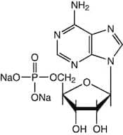 Adenosine-5'-monophosphate disodium salt