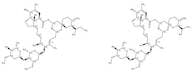 Ivermectin
