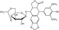 Etoposide