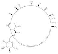 Amphotericin B, 250 &mu;g/mL in distilled water, sterile-filtered