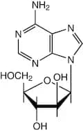 9-β-D-Arabinofuranosyladenine, 99%