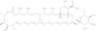 Amphotericin B