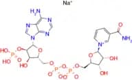 ß-Nicotinamide Adenine Dinucleotide Phosphate Sodium Salt Hydrate, oxidized form [for Biochemical …