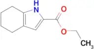 4,5,6,7-TETRAHYDRO-1H-INDOLE-2-CARBOXYLIC ACID ETHYL ESTER