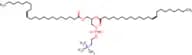 1,2-Dierucoyl-sn-glycero-3-phosphocholine