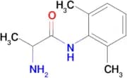 Tocainide