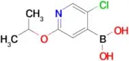 5-Chloro-2-isopropoxypyridine-4-boronic acid