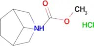 Methyl2-(3-azabicyclo[3.2.1]octan-8-yl)acetate;hydrochloride