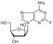 Fludarabine
