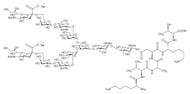 Sialylglycopeptide