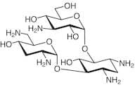 Tobramycin