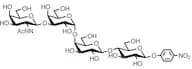 Gb4-β-pNP
