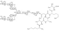 Asialoglycopeptide