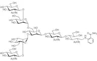 G0 2AB (500pmol/vial)