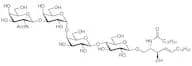Gb4 Ceramide