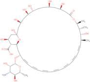 Amphotericin B - Bio-X ™