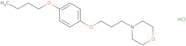Pramoxine HCl