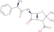 Ampicillin - Bio-X ™