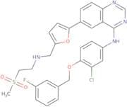 Lapatinib base - Bio-X ™