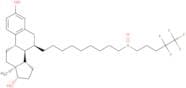 Fulvestrant - Bio-X ™