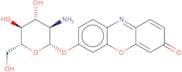 Resorufin N-acetyl-b-D-glucosamine