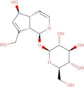 Aucubin