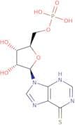 6-Thioinosine 5'-monophosphate
