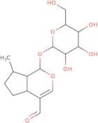 Boschnaloside