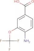 4-Amino-3-(trifluoromethoxy)benzoic acid