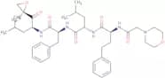 Carfilzomib